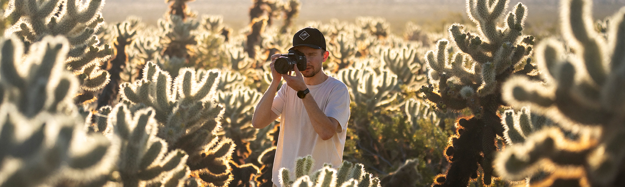 Joshua Tree National Park: The Spark That Started It All