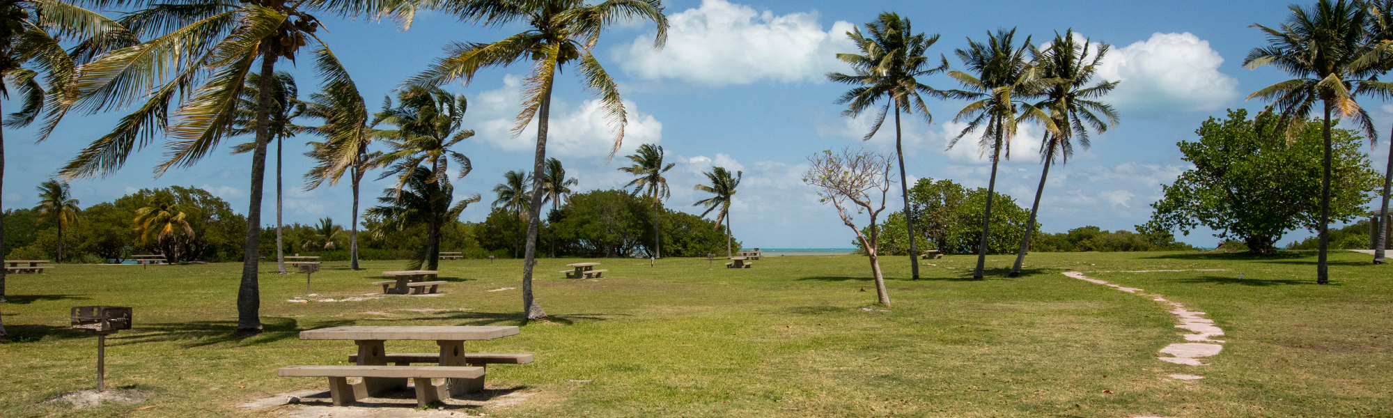 Guide to Biscayne National Park