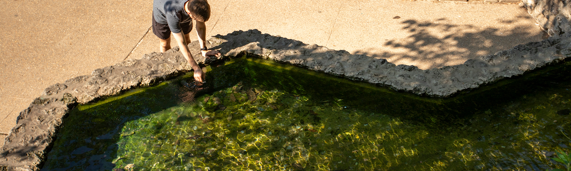 A Spring Visit to Hot Springs National Park