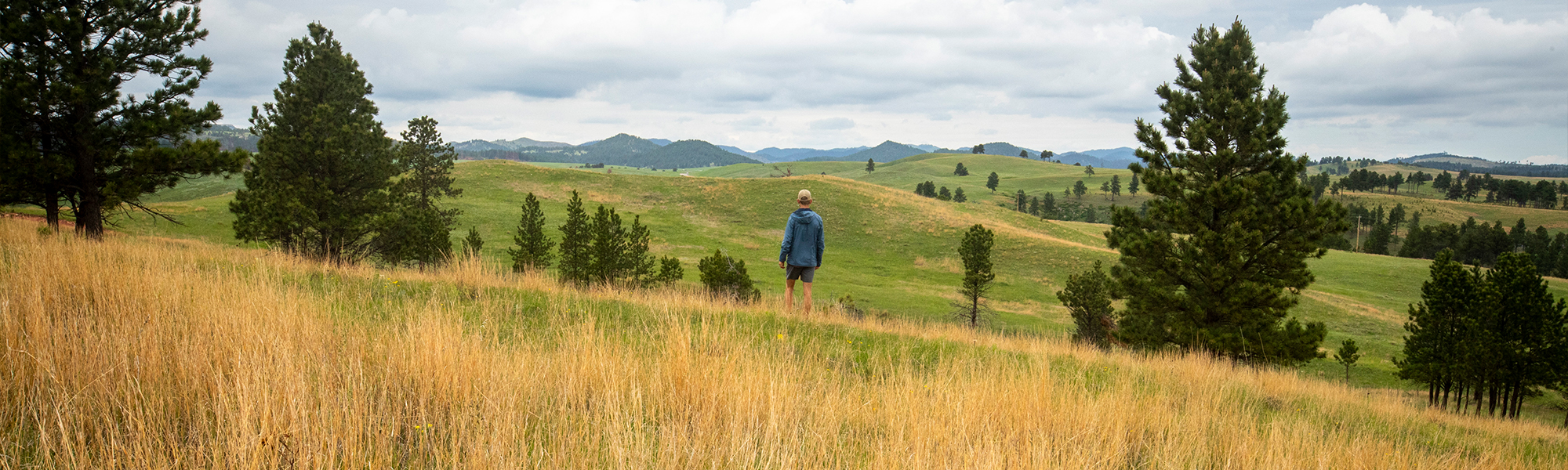 Prairie Heaven at Wind Cave National Park