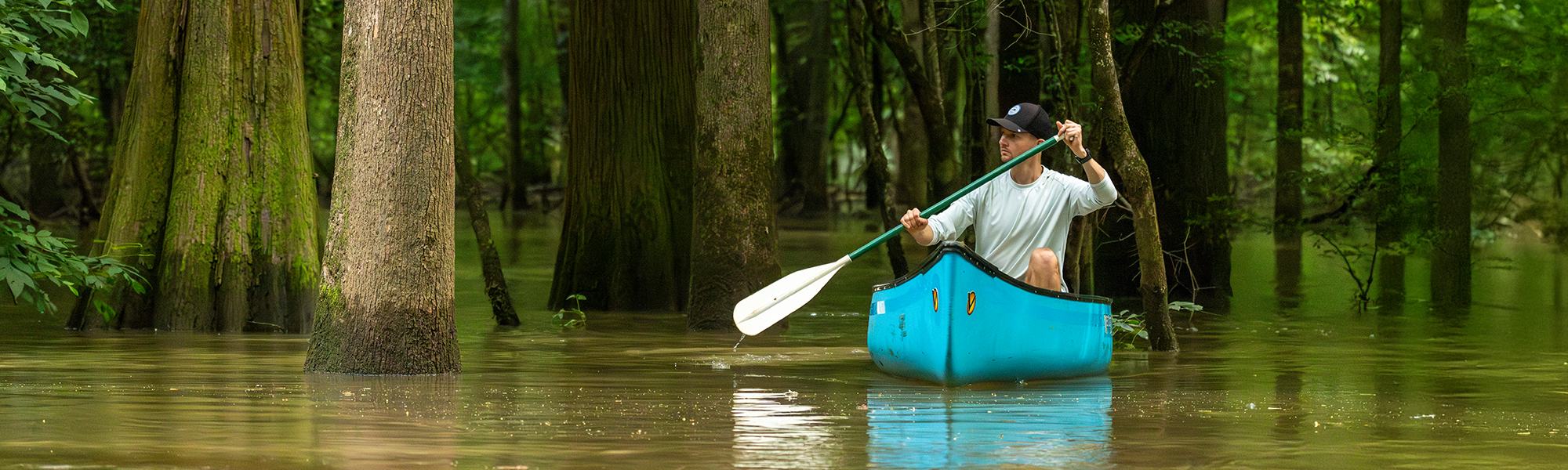 Water, Water Everywhere In Congaree National Park