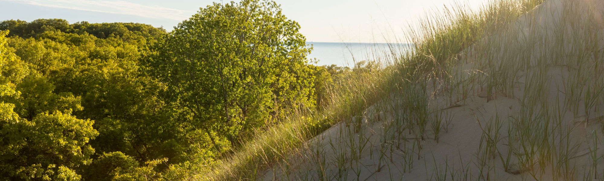 Guide to Indiana Dunes National Park