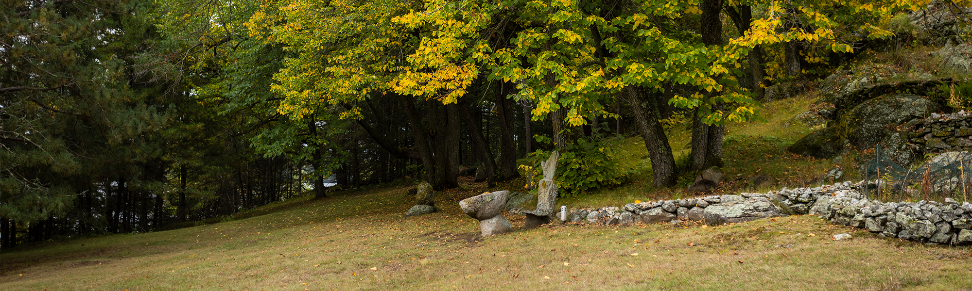Guide to Voyageurs National Park