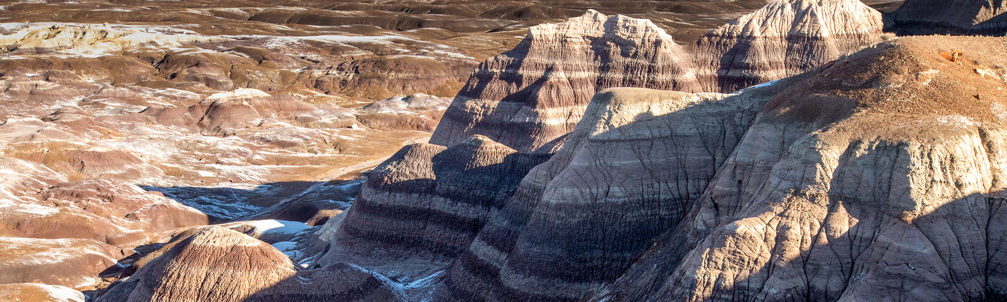 Guide to Petrified Forest National Park