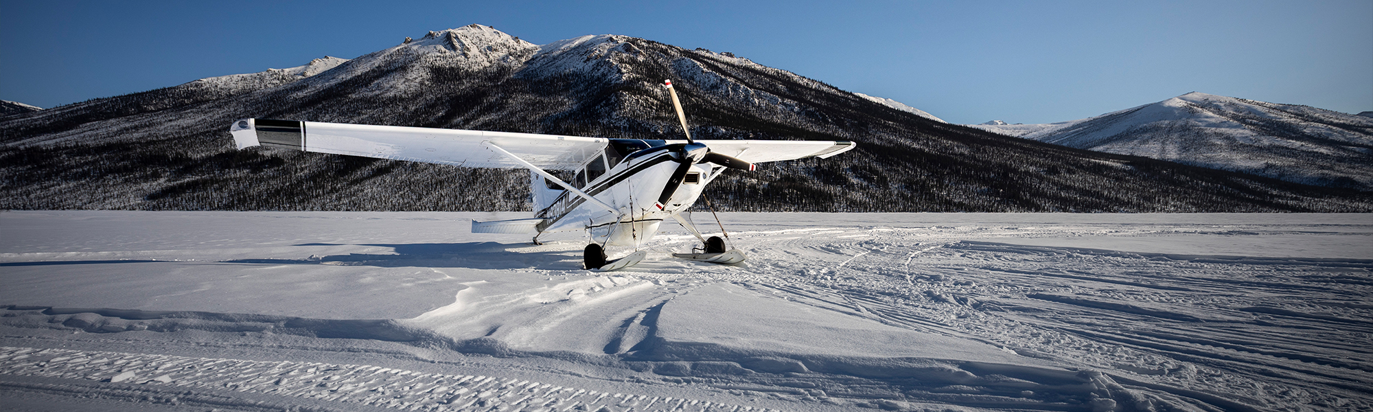 Guide to Gates of the Arctic National Park